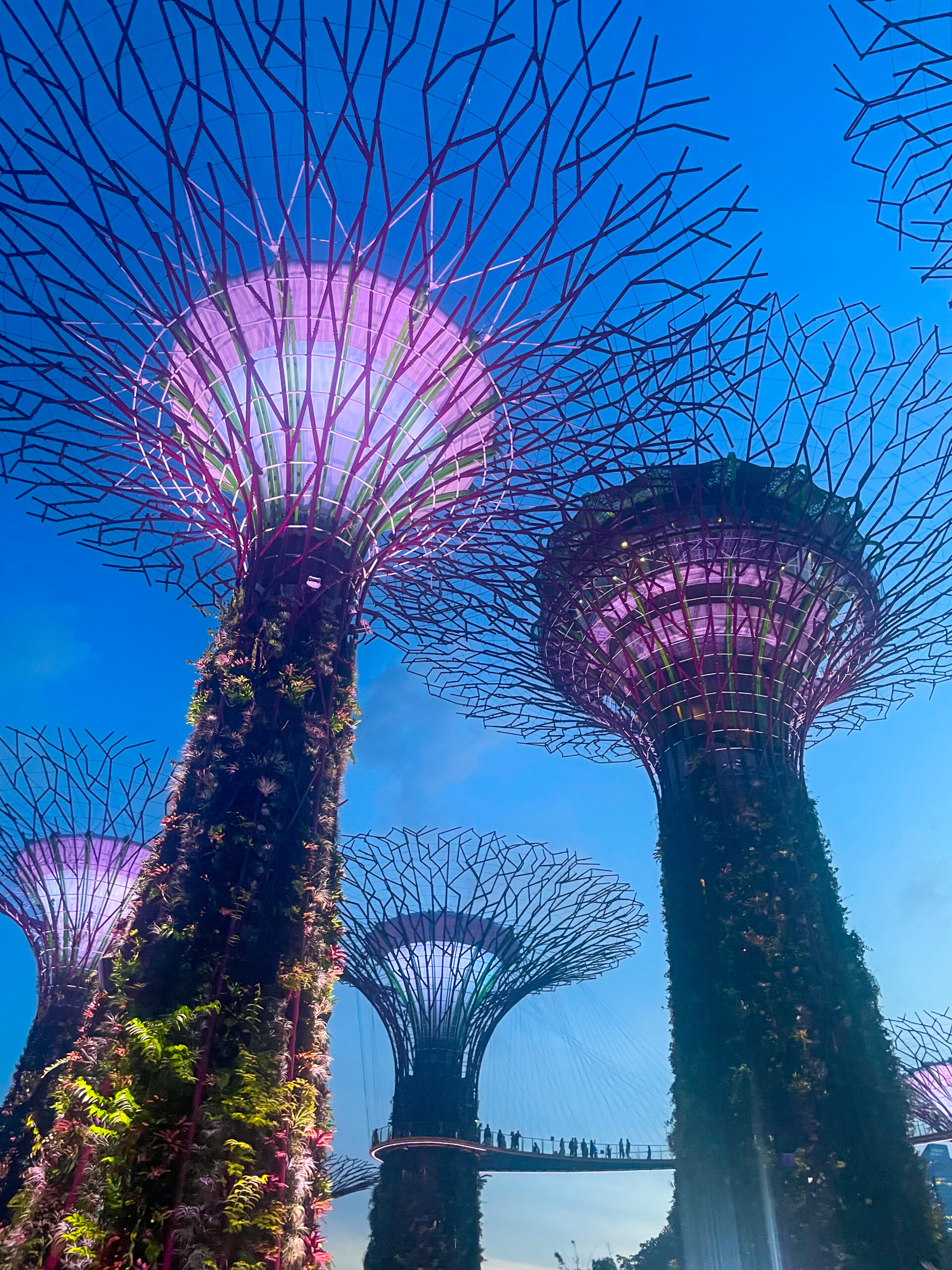 How to Save Money While Backpacking in Singapore